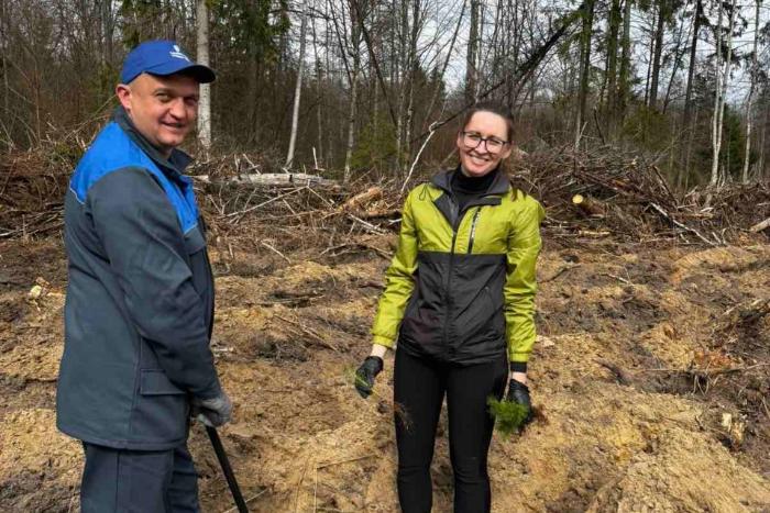 Лес - главное достояние Беларуси