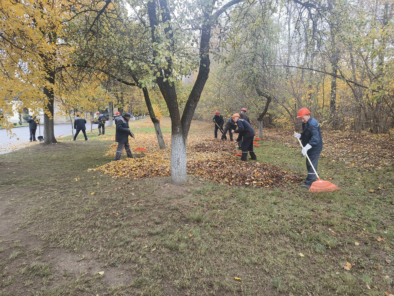 17.10.2025 начались уборки закреплённых территорий